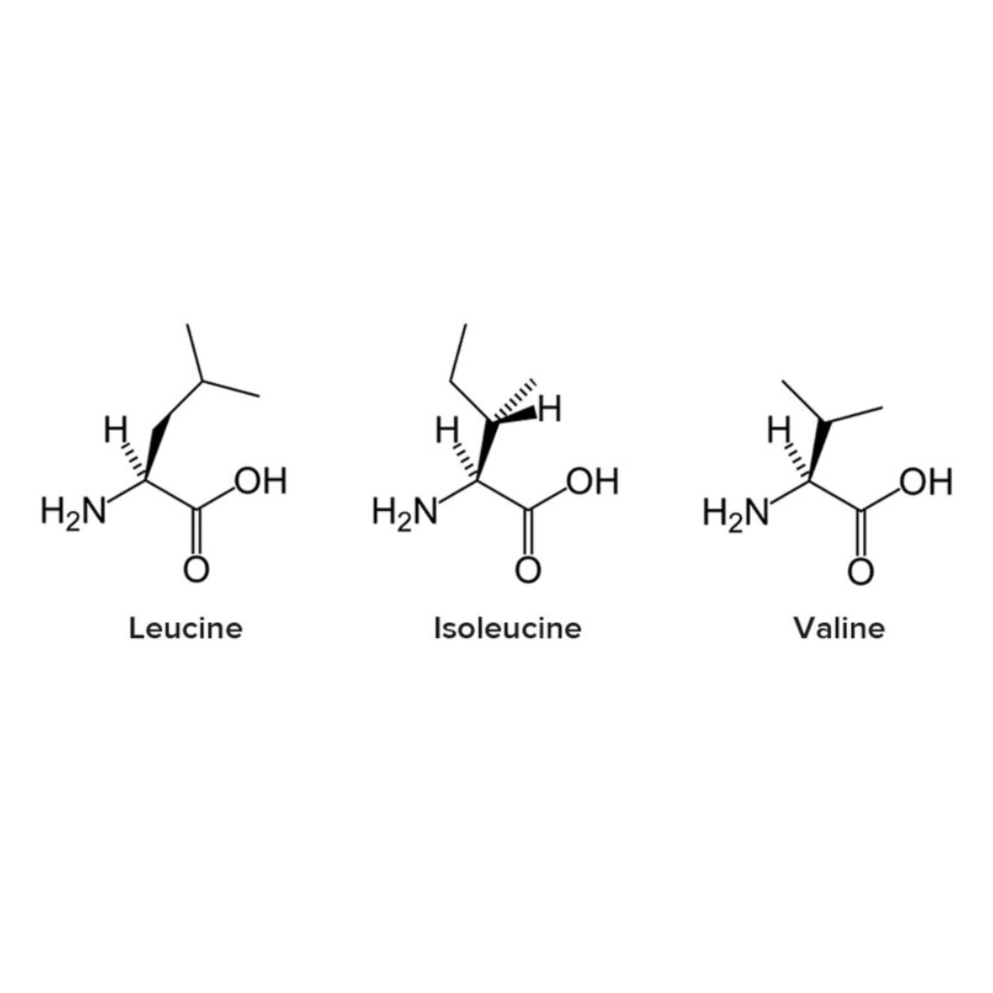 2 BCAA 3:1:2 Branched Chain Amino Acids - Two Ingredients