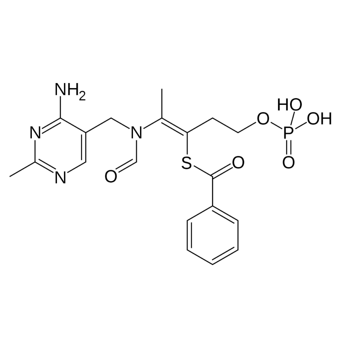 1 Benfotiamine - 120 Capsules