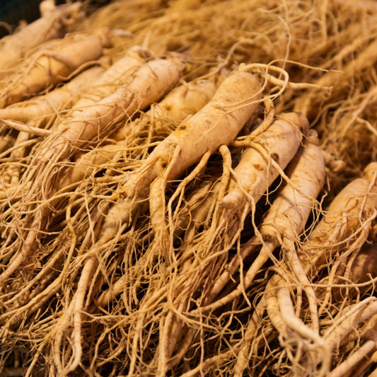 2 Ginseng Root Extract - Two Ingredients