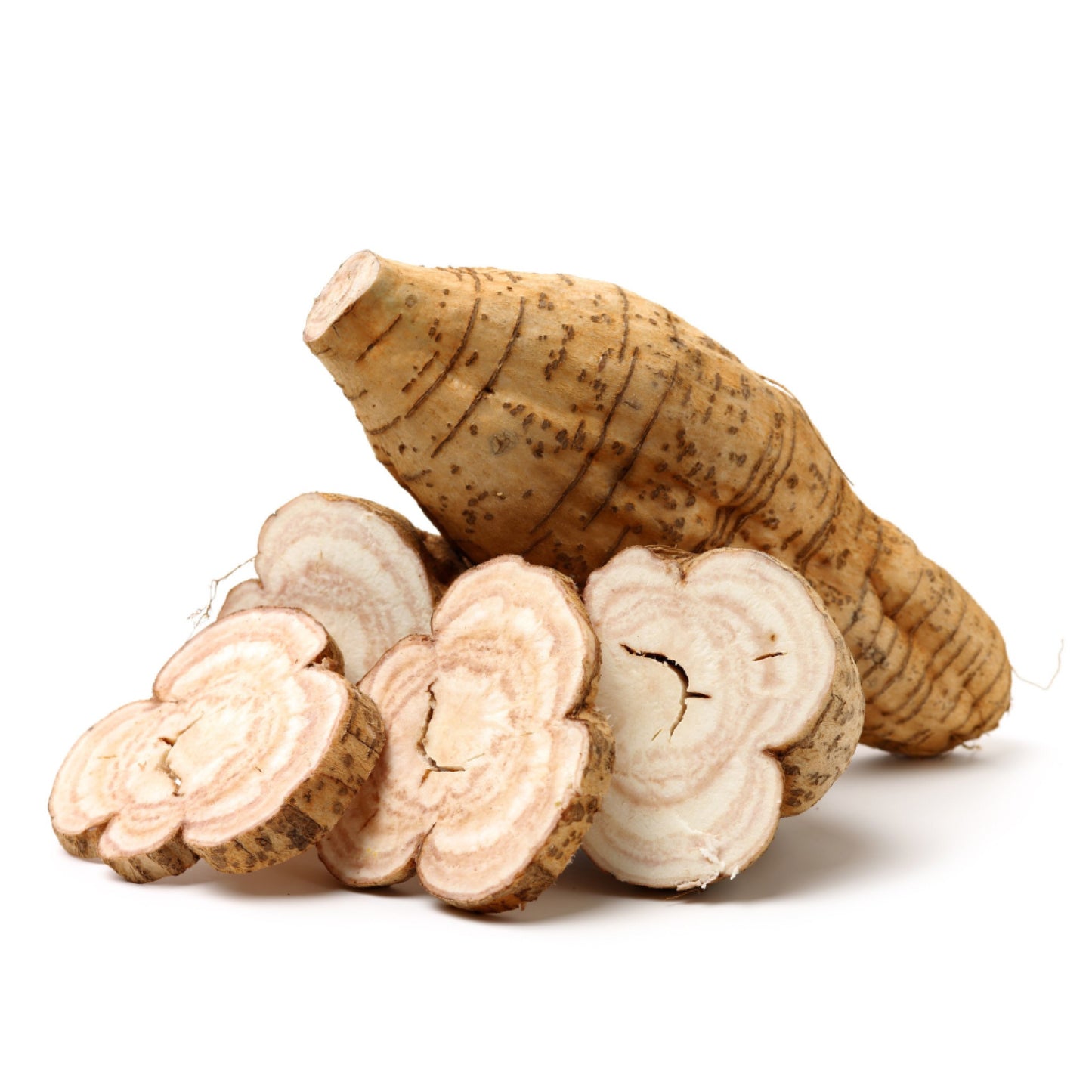 4 Kudzu Root Extract (40% Isoflavones Puerarin) - Four Ingredients