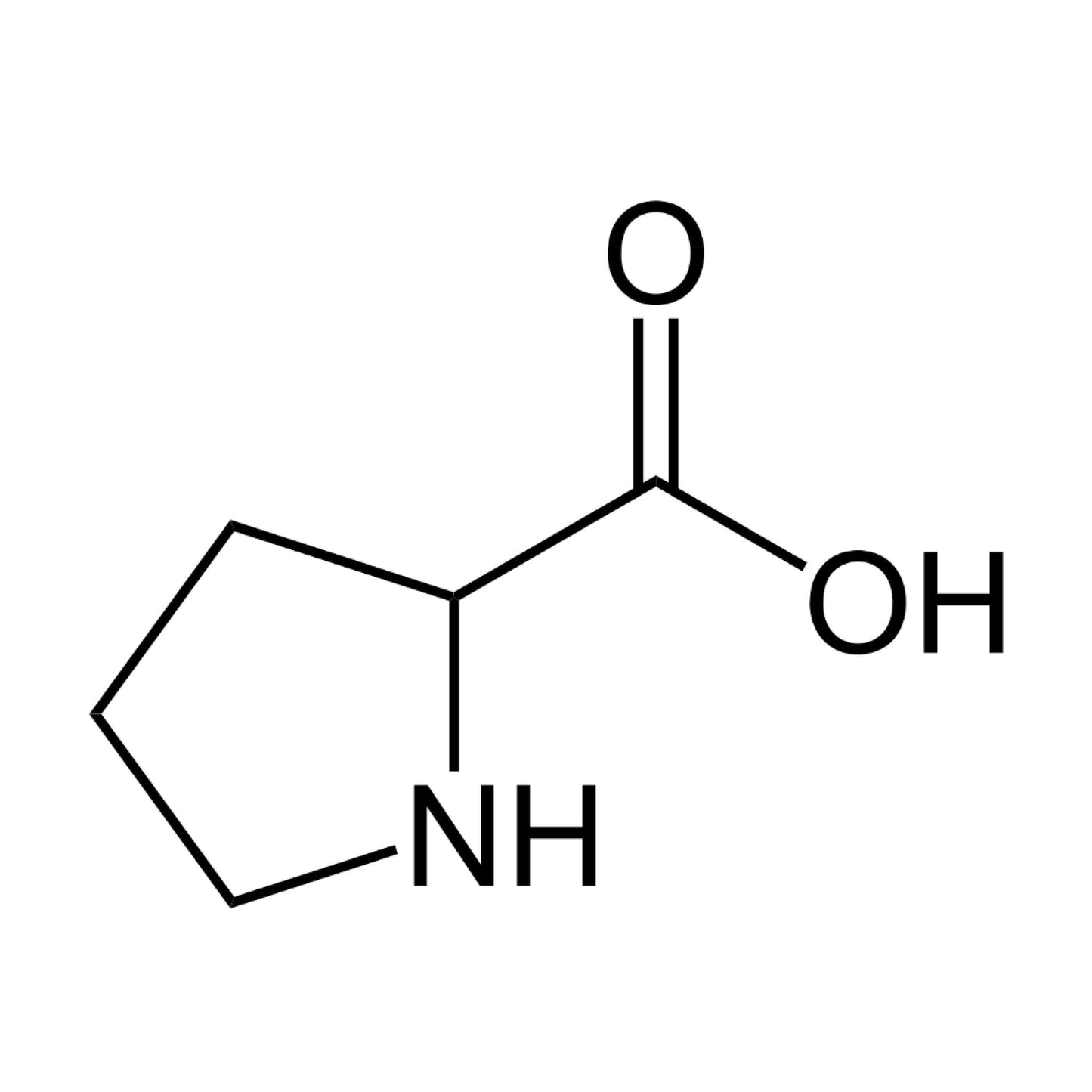 2 L-Proline - Two Ingredients