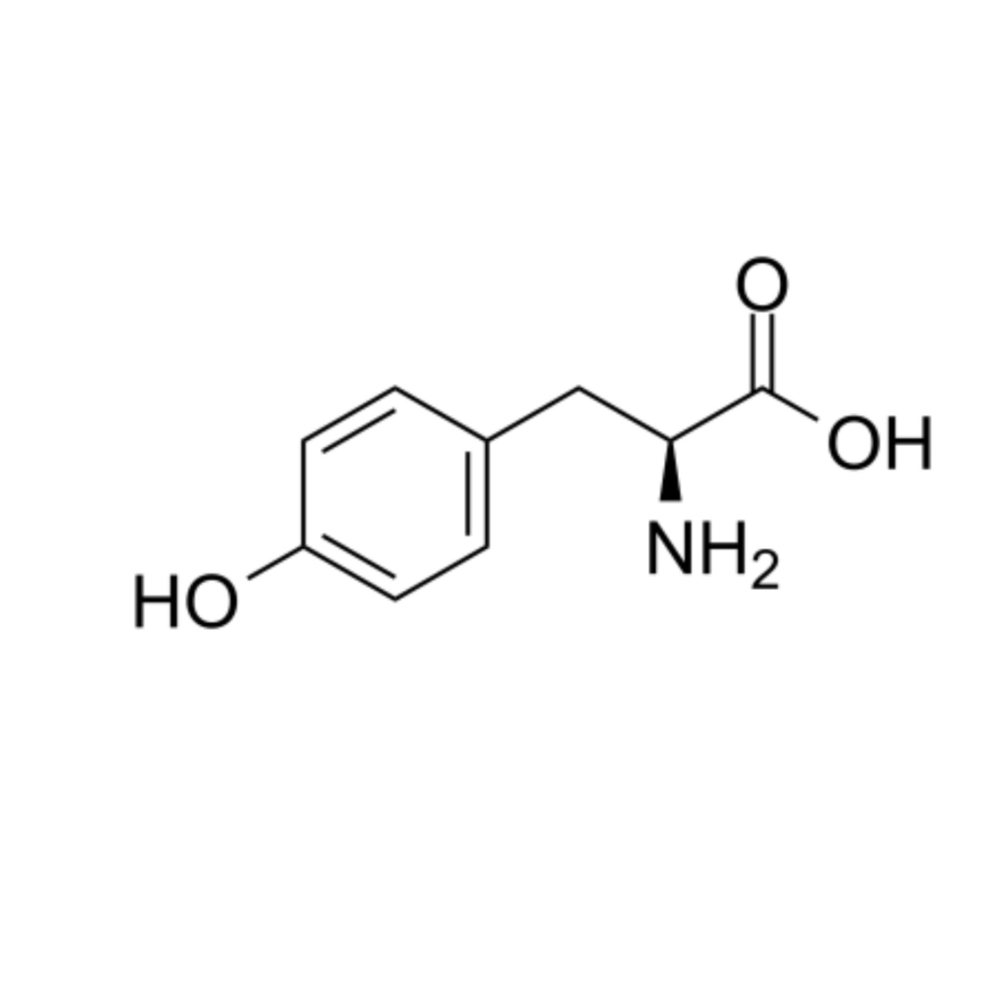 1 L-Tyrosine - 120 Capsules