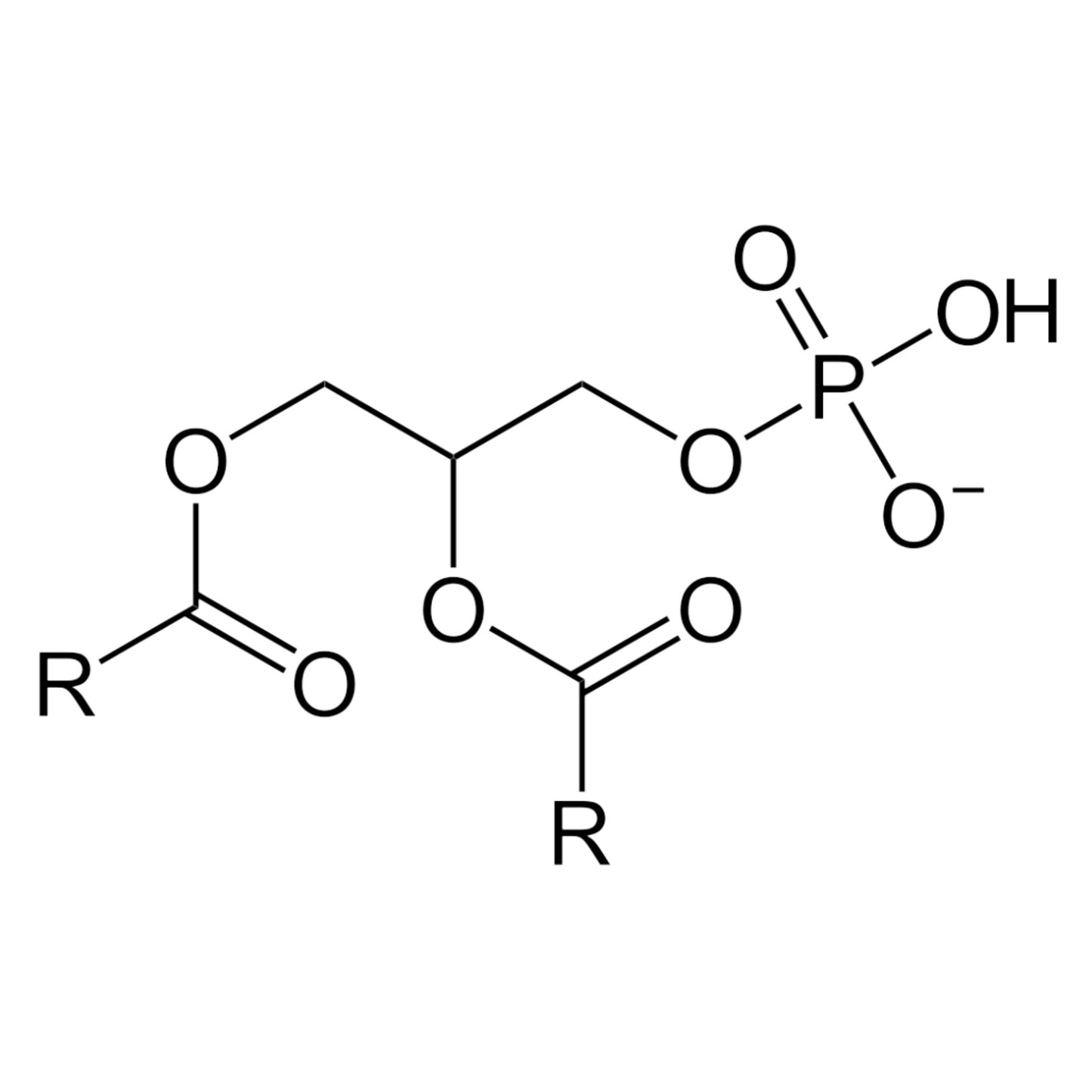 3 Phosphatidyl Serine - Three Ingredients