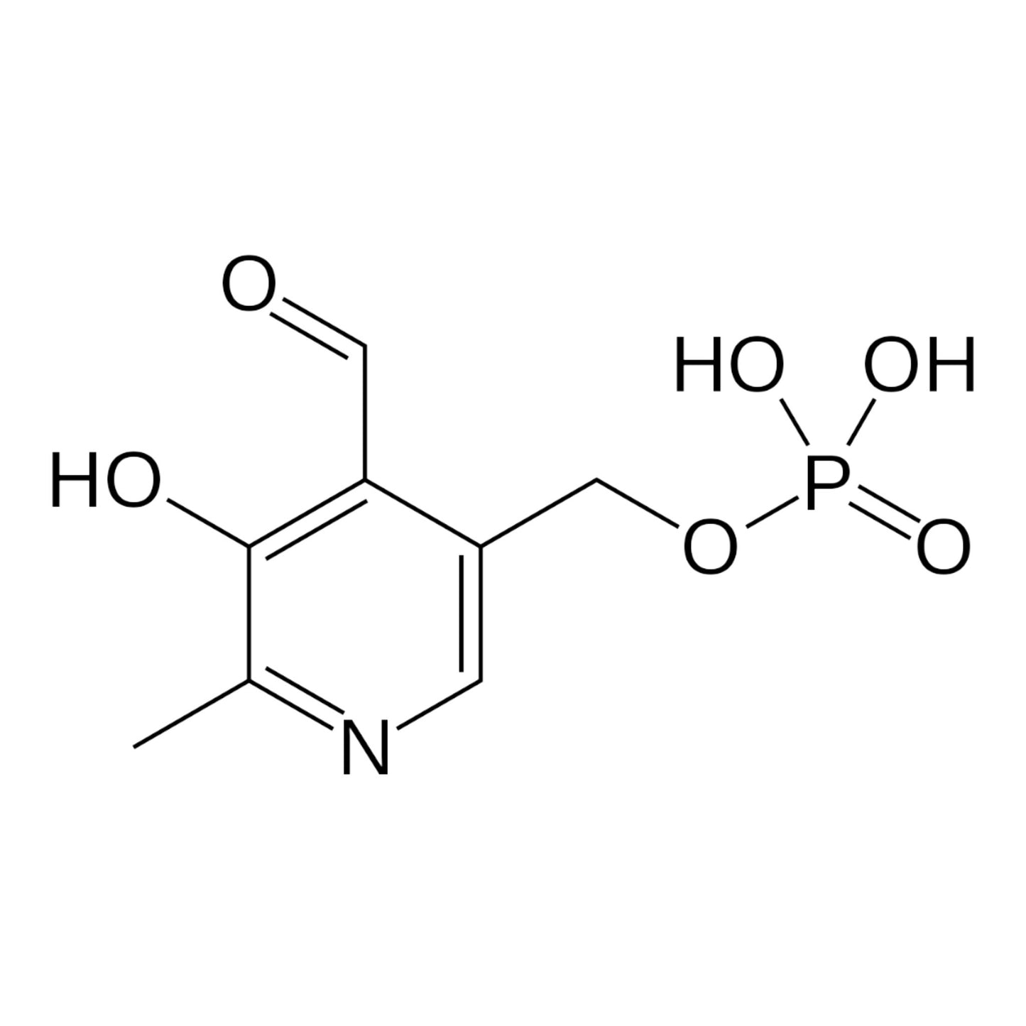 3 Pyridoxal 5'-Phosphate (P5P) - Three Ingredients