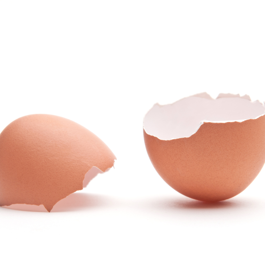 2 Hydrolyzed Egg Shell Membrane Collagen - Two Ingredients