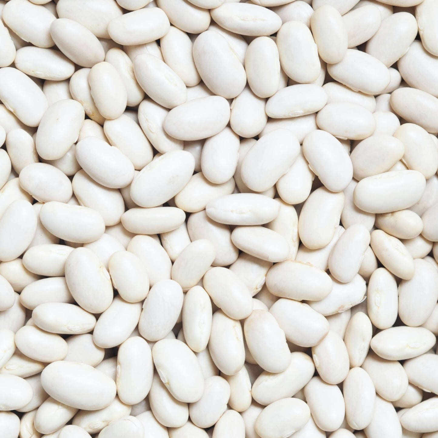 1 White Kidney Bean Extract 10:1 - 120 Capsules
